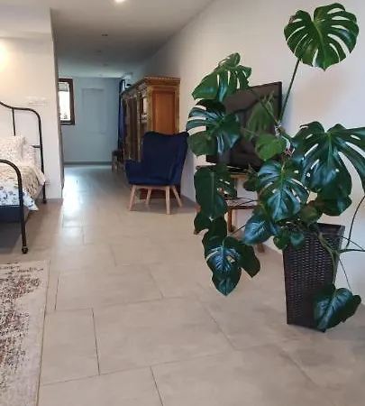 Kopernik Apartmán *