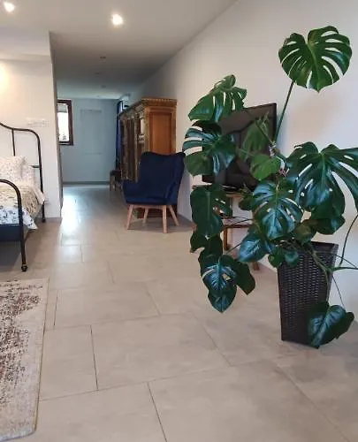 Kopernik Apartment *